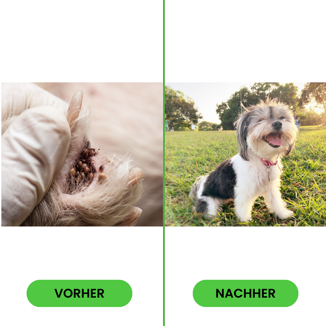 TickSafe™ - Anti-Floh- und Zeckenhalsband