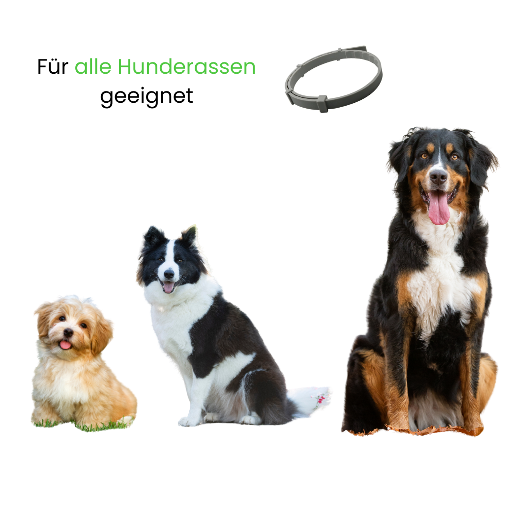 TickSafe™ - Anti-Floh- und Zeckenhalsband